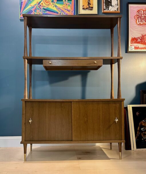 1950s Room Divider /Storage Cabinet/Display Shelf | Circa